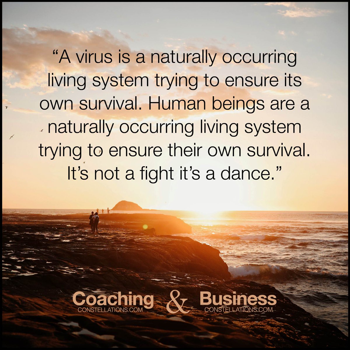 SystemicCoach's tweet image. #systemiccoaching #coaching #hiddendynamics #lifeinflow #mapping #resetnotrestart #systemic #notafightitsadance #relationhipmapping #coaching