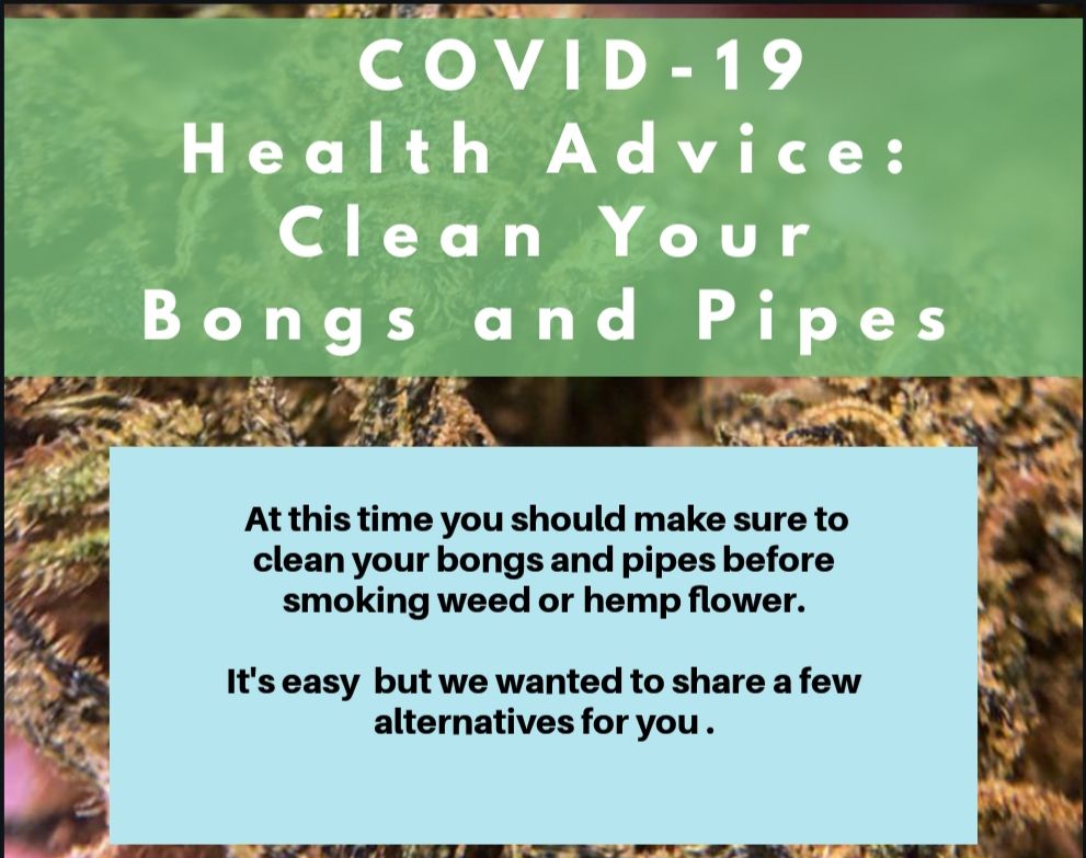 tryplainjane's tweet photo. Hey 👋 At this time you should make sure to clean your bongs and pipes before smoking weed or hemp,so we wanted to share some tips with you.
Remember washing your hands✌
#tryplainjane #cbd #hemp #cannabiscommunity #cannabidiol #hempbuds #hempcompanies #quarantine #stayathome https://t.co/M3YXO8fXfO