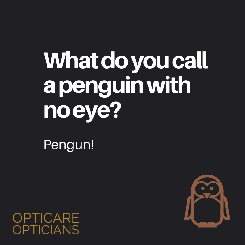 opticareltd's tweet photo. #FridayFunny #OpticareFunny #Joke https://t.co/OlI64AEPJ9