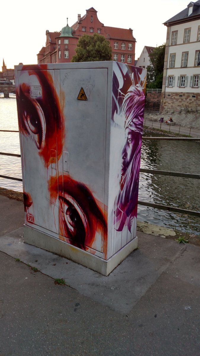 7. In  #Strasbourg  there is beautiful  #StreetArt on the electricity boxes.