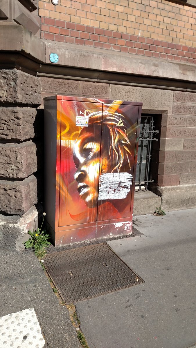 7. In  #Strasbourg  there is beautiful  #StreetArt on the electricity boxes.