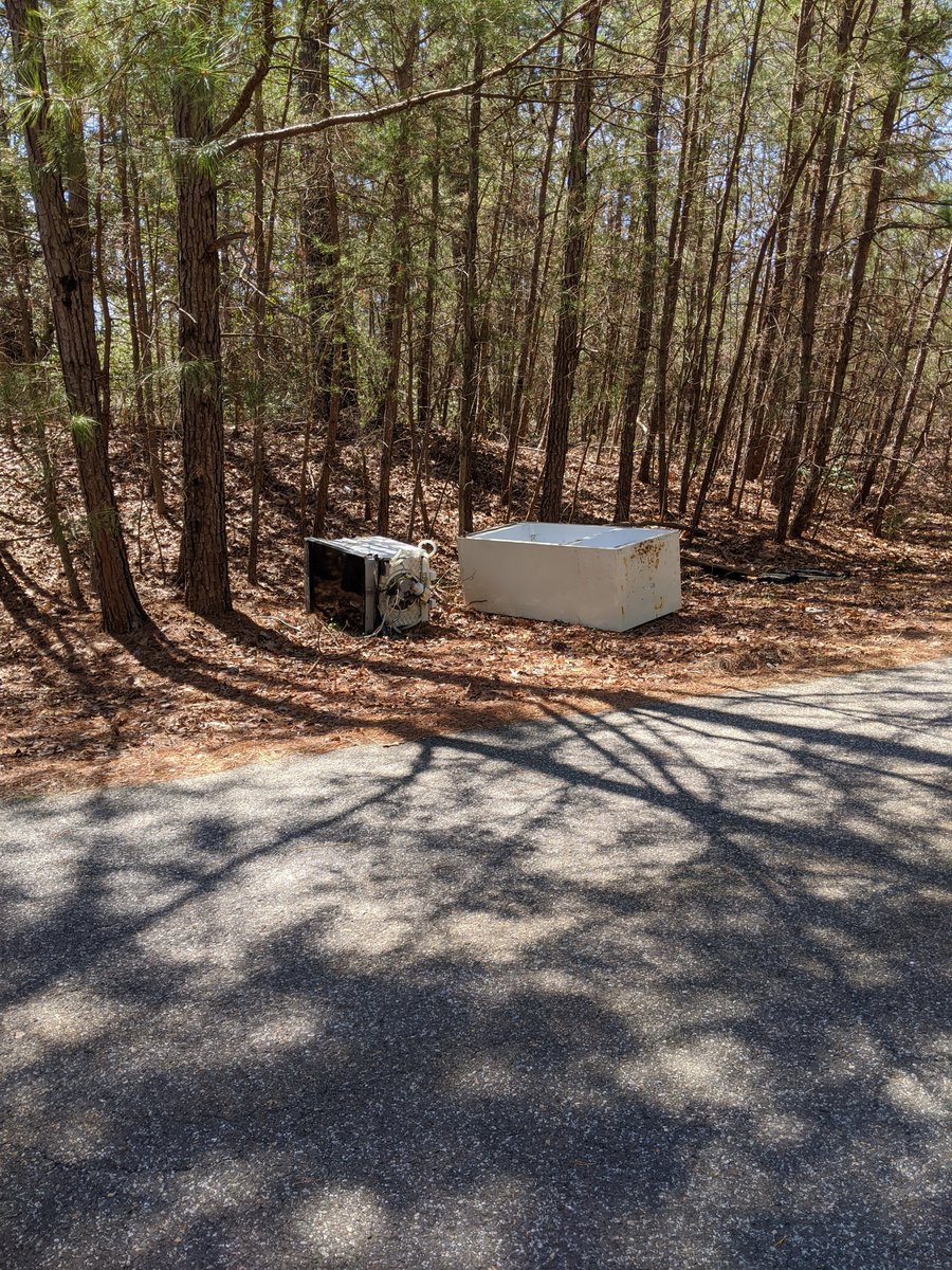 element_zeek's tweet photo. BEAUTIFUL TREES! If this is you then you are an ass hole. And fuck you. 

#EssentialWorker BTW https://t.co/fzVC7QakPS
