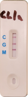 We tested commercially available kits & decided on an assay from BioMedomics to fully validate in-house. It’s looks like a pregnancy test & uses a drop of blood from your finger to tell if you have IgM or IgG antibodies against COVID-19. Available from  @BioMedomics /  @HenrySchein