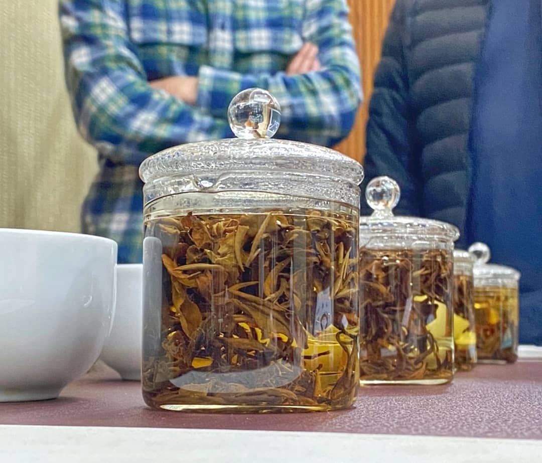 TeaTesterEK's tweet photo. Incomplete aesthetics - the oriental beauty
.
https://t.co/HzFlGXQNe9
.

#oolong #oolongtea #premiumtea #tea #teatalk #teatime #teatesting #tealover #tealove #teatalk #teaparty #teatasting #teadrinker #teaoftheday #teaculture #teaceremony #taiwan #taiwantea #taiwanfood https://t.co/fSoXyx2Zqa