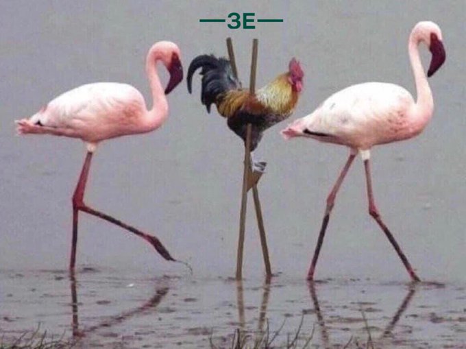 Четверо украинцев пытались сбежать от самоизоляции за границу, - Госпогранслужба - Цензор.НЕТ 3538