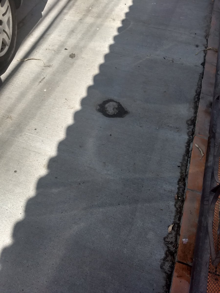 deareren's tweet photo. @Interapas  ayuda OTRA VEZ fuga en jardines del sur frente Al 1745  , quedaron de venir los de intubación y ni sus Luces, es agua LIMPIA, no permitan que se tire https://t.co/gvGdHPSphP