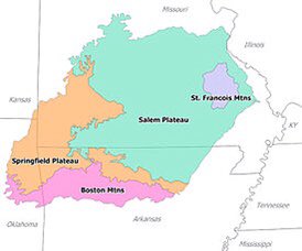 grannysidney's tweet photo. Ozarks my home Oligarchs rule & destroys her for profit Once away from NW Arkansas itโs rural & those Ppl have no idea whatโs going on #TrumpOwnsEveryDeath #CoronavirusPandemic #StayHomeSaveLives #UniteWithBernie call your Rep & Senators
This #BoomerForBernie fights for all too๐น https://t.co/4yd8SZEyqM