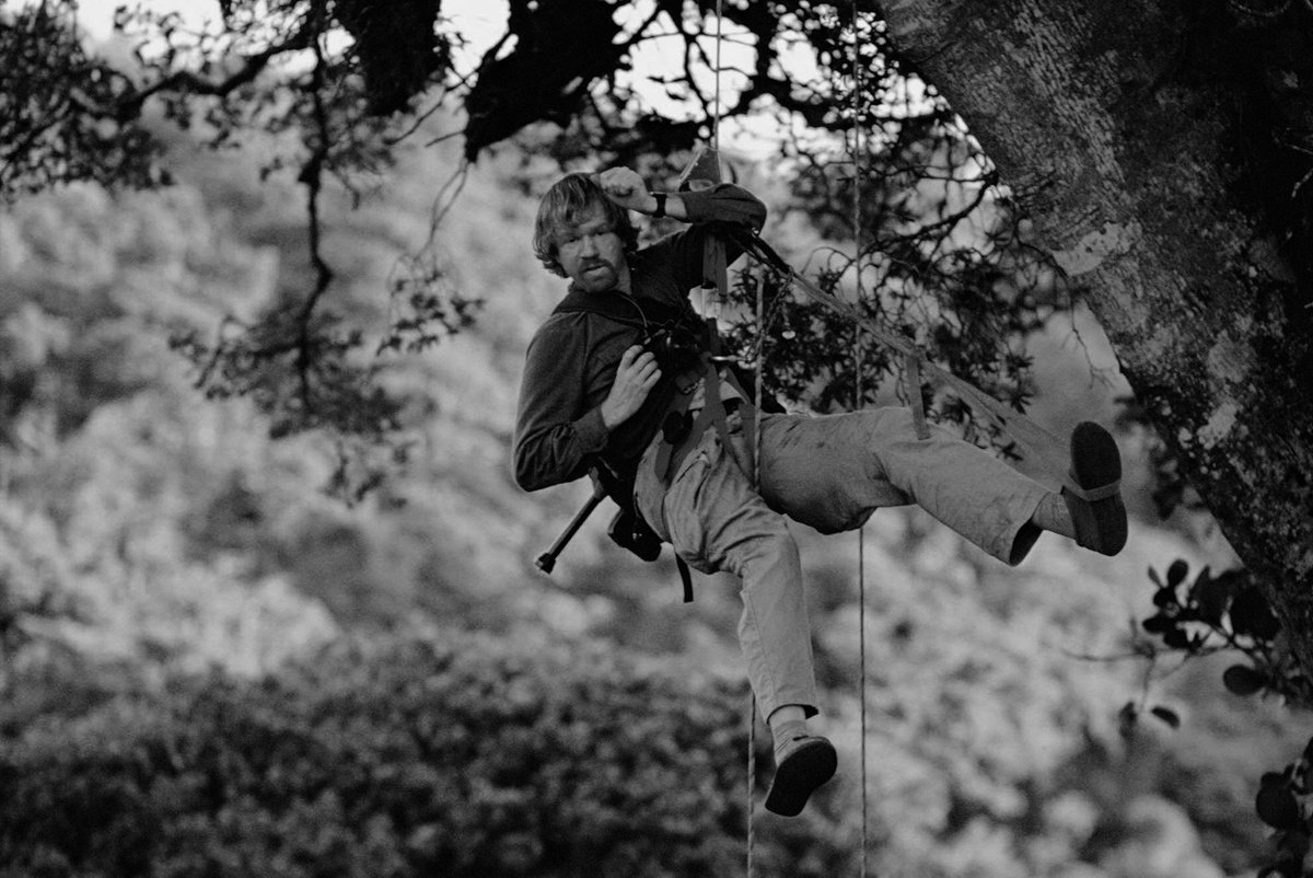 The Sun magazine tweet media