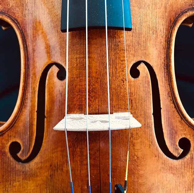 New maker #4 is a stunning Strad copy made by very talented young maker Davide Pizzolato - under his mentor danieletonarelli. Always great to see the next great generation of violin makers at work! #quarantineviolins #luthier #violin #newmakers #craftsmanship