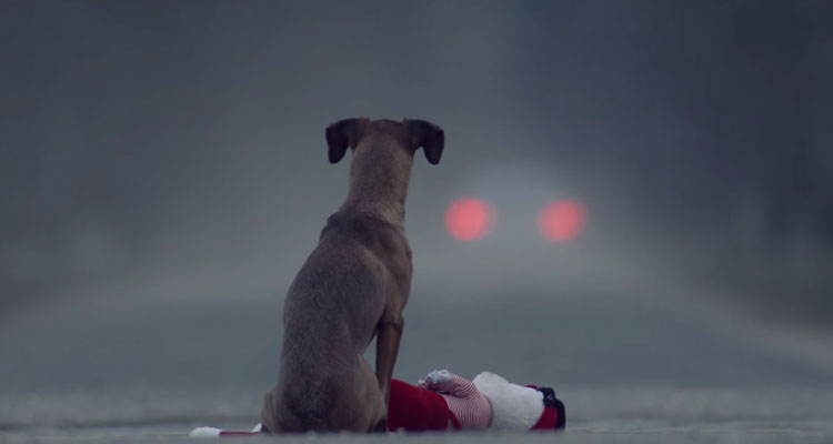 huellassalvadas's tweet image. ❌ Desde Huellas Salvadas decimos NO AL ABANDONO de animales en la cuarentena❌

Los animales de compañía NO transmiten el virus, ellos no tienen la culpa de lo que está pasando.

ELLOS NO TIENEN TECHO EN EL QUE RESGUARDARSE

#huellassalvadas #adoptanocompres #dogsoftwitter