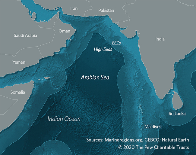  Arabian Sea: these waters beyond India, Pakistan, Oman and Yemen has an extreme oxygen minimum zone, a distinct and rare feature.Although there is some fishing, marine biodiversity is mostly threatened by vessel pollution and spills, as well as ship strikes.