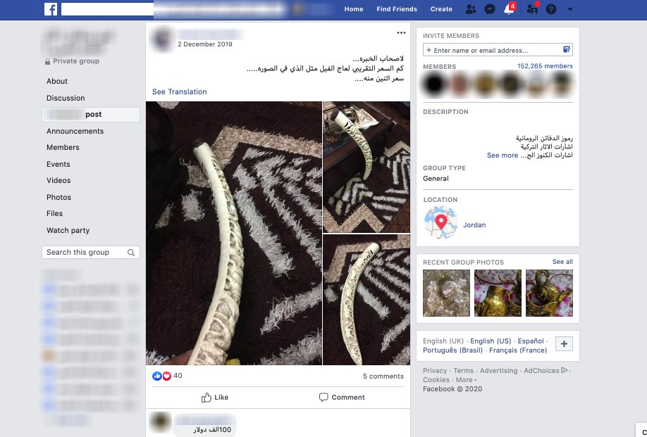 Endangered species parts also make appearances in antiquities trafficking Facebook groupsThese posts from December 2019 & March 2020 offer carved ivory for sale. Ivory appears fairly frequently in these groups, one example of the overlap between wildlife & antiquities networks