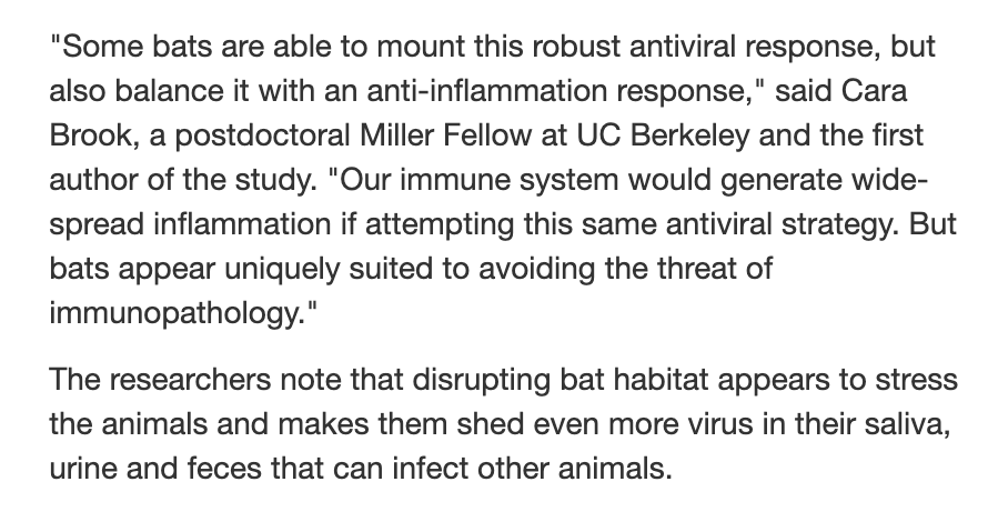 Bat urine and blood can carry viruses. How likely is it that bat urine or blood got onto a researcher at either Wuhan Center for Disease Control & Prevention or the Wuhan Institute of Virology? https://bit.ly/39GzJif  https://bit.ly/3dY2URh 