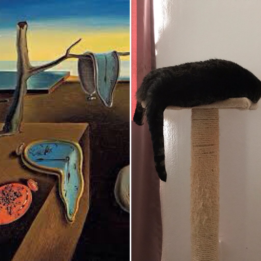 nisoliwo's tweet image. #cat #katt #cornflake #SalvadorDali #themeltingwatch #fredag #friday