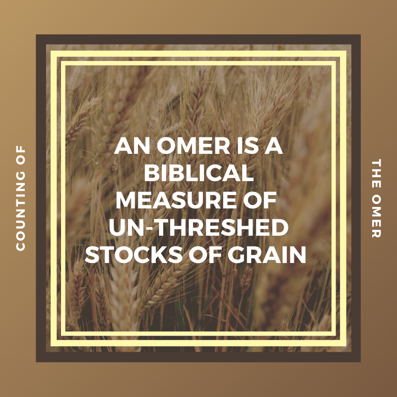EverydayTorah's tweet photo. Counting of the Omer:
An Omer is a Biblical measure of un-threshed stocks of grain.
Week 24: Firstfruits to Shavuot Basics for Christians
https://t.co/hptjQ4BH6V
.
.
.
.
#CountingOmer #Biblical #Measure #Exodux #stocks #Grain #EverydayTorah #Omer #Torah #instructions #Feast https://t.co/LImKyGAJib