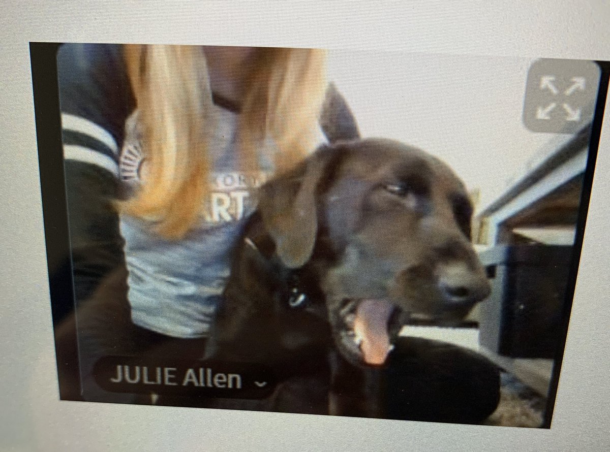 Julie Allen tweet media