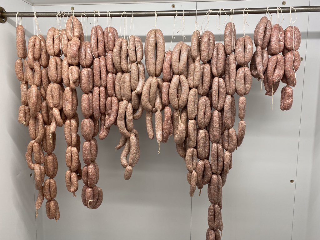 SunQueen 🌞 tweet media