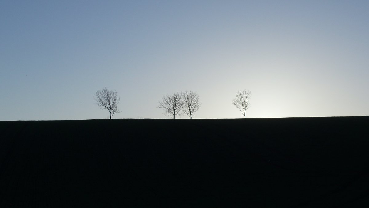 Picnic At Pompeii (@picnicatpompeii) on Twitter photo 