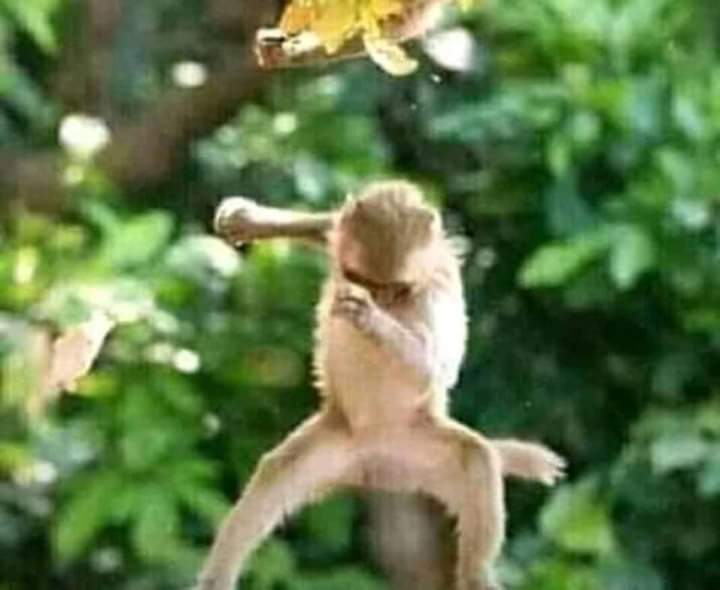 MillyMhlave's tweet image. Dj Fresh ke mood activator bann🔥🔥#LockdownHouseParty