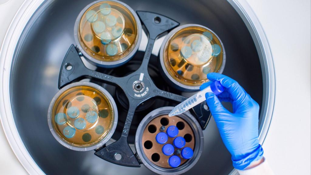 MayoClinic's tweet photo. The @US_FDA today named #MayoClinic the national site for Convalescent Plasma Expanded Access Program. @DrMJoyner will lead coordinated access to investigational convalescent plasma for hospitalized patients with severe or life-threatening #COVID19. https://t.co/VZX00ciNKl https://t.co/aPOVVAVVcZ