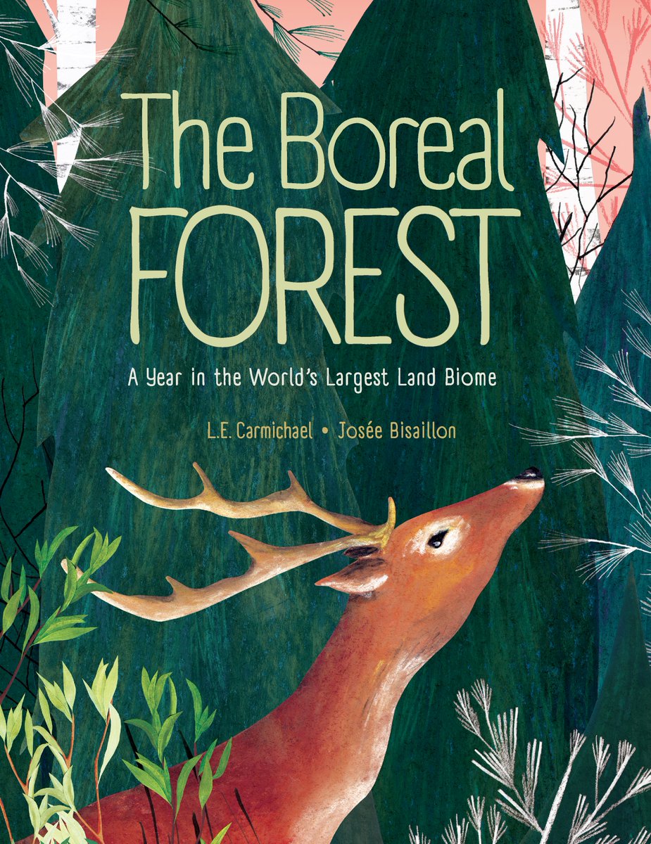 KidsCanPress's tweet photo. Next up in the #KCPSpringReadingRelay is THE BOREAL FOREST author @LE_Carmichael! Tune in at 2:30pm ET today! https://t.co/FhSUH52xzB