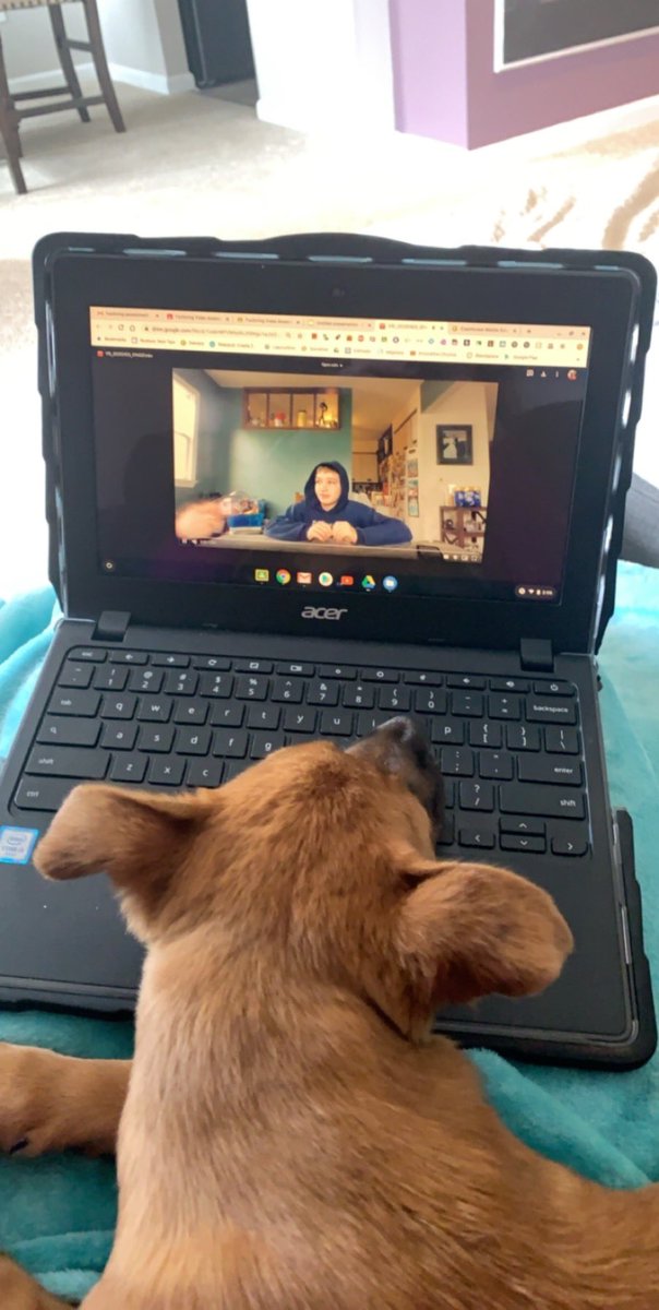 GutkindMs's tweet photo. KOTA wants to see my students just as much as I do! 😭 https://t.co/v5lzFDITbe