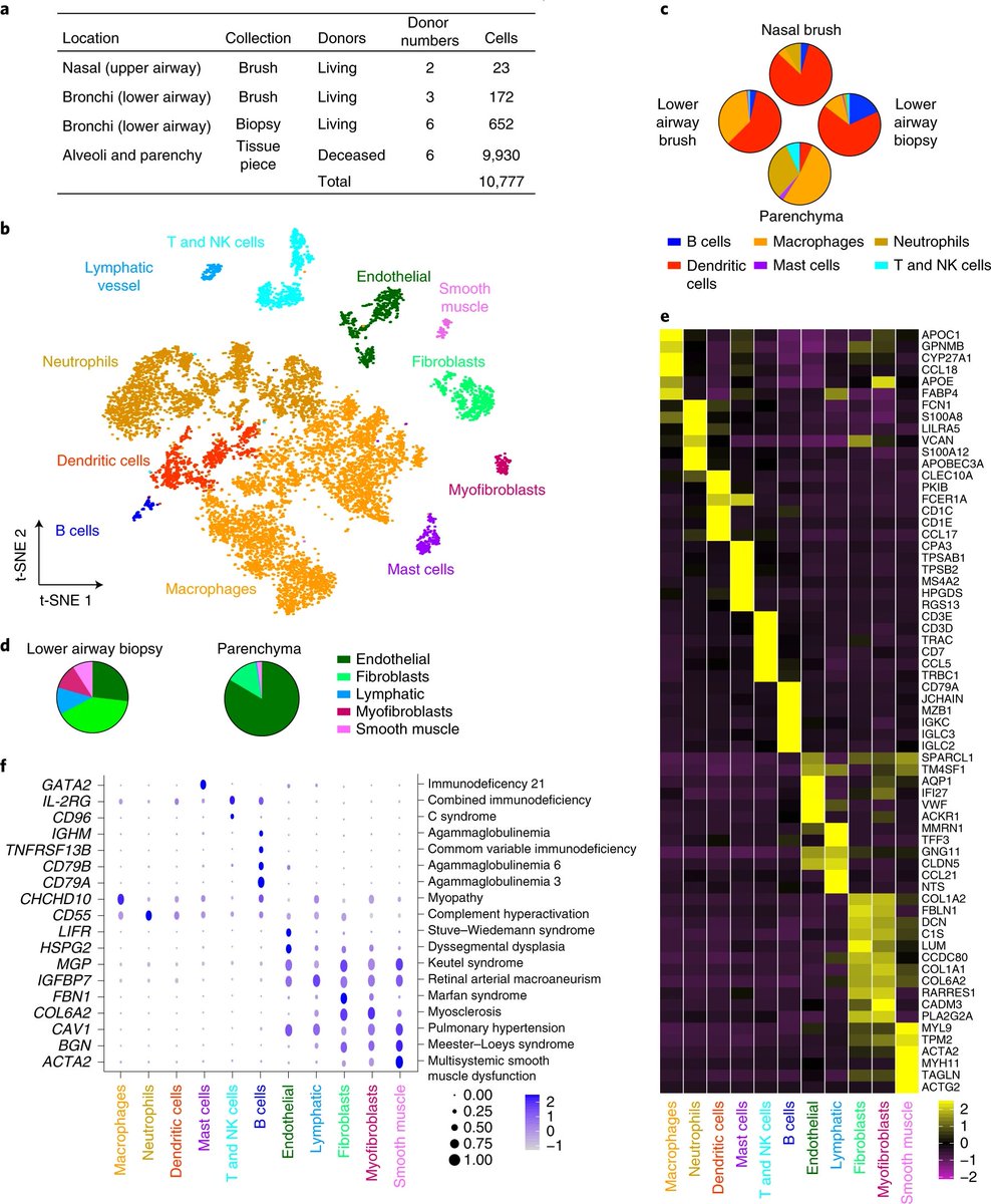 Now what about in humans. Well,  #scRNAseq of lung - such as this  @NatureMedicine paper  https://www.nature.com/articles/s41591-019-0468-5identify alveolar macrophages (FABP4/APOC/APOE+) and classical monocytes (FCN/VCAN/S100A8+) easily.But I don't see interstitial macs...