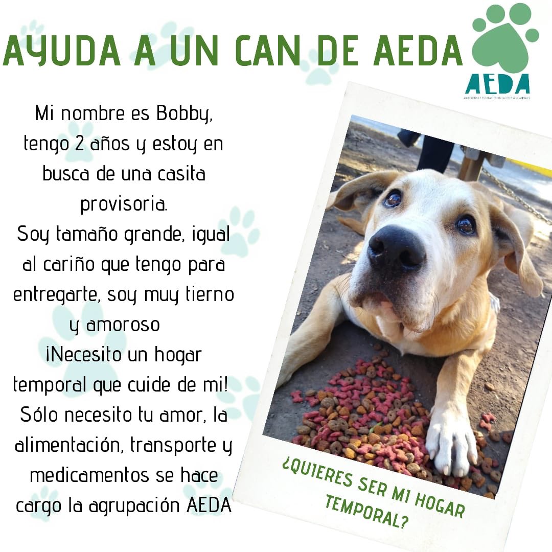 AEDA (@grupoaeda) on Twitter photo 