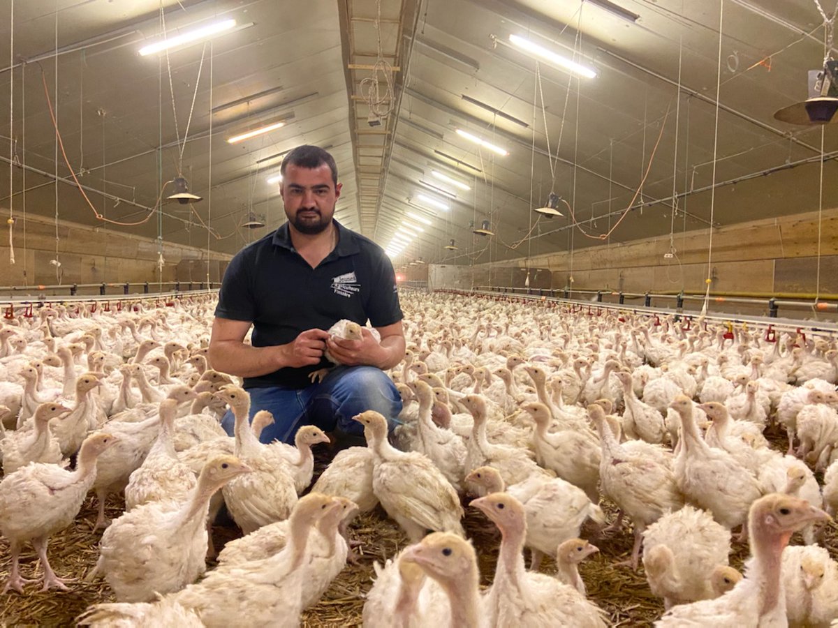 JA_Finistere's tweet photo. ❌ Pas de pénurie : #OnVousNourrit
Les dindes aussi sont en confinement, pour la sécurité alimentaire de tous! 🐥🦃 https://t.co/ZvCFWe4fNF