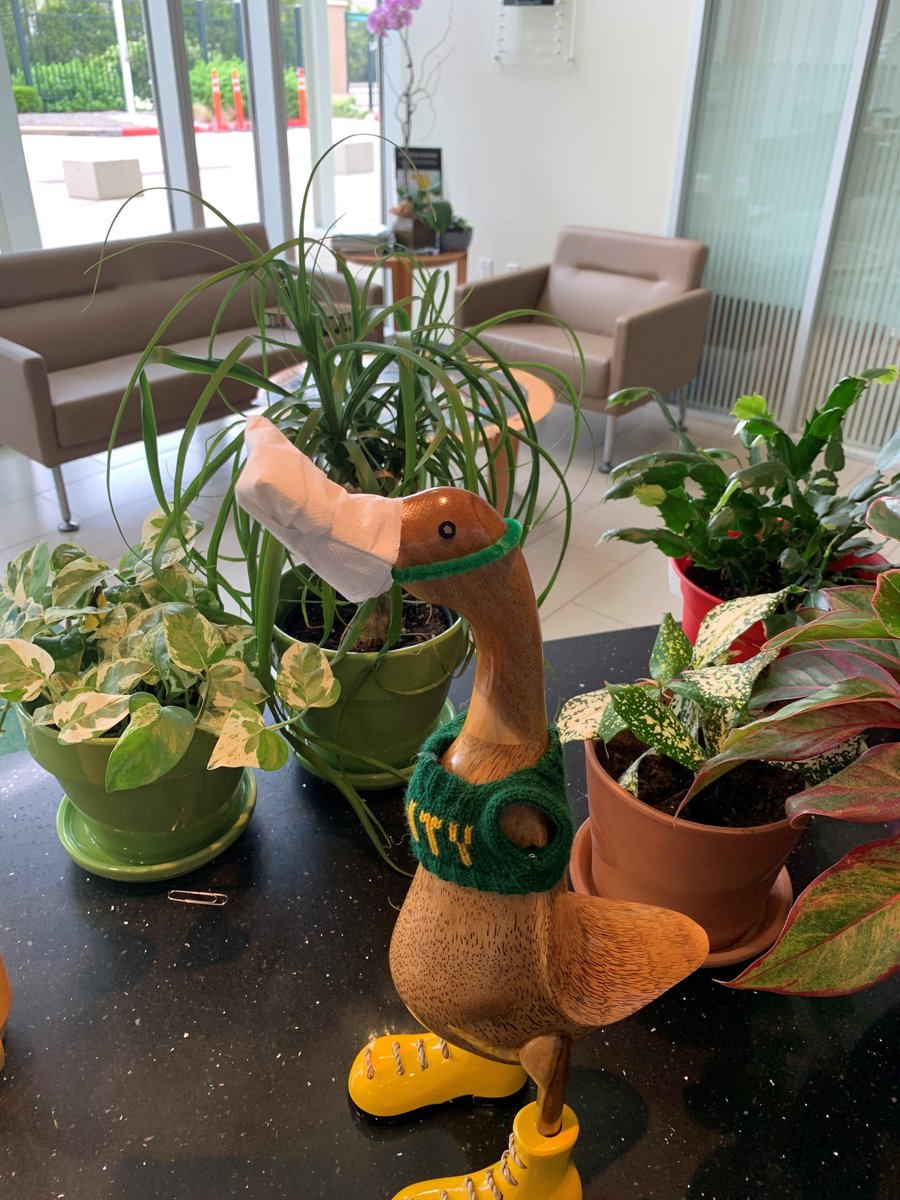 awtyintlschool's tweet photo. The Awty Spirit is in the air! Keep sharing that Green &amp; Gold PRIDE! 💚💛 #AwtySpiritDay2020 #awtyramsunite #alwaysawty https://t.co/EdAtw9yLyZ