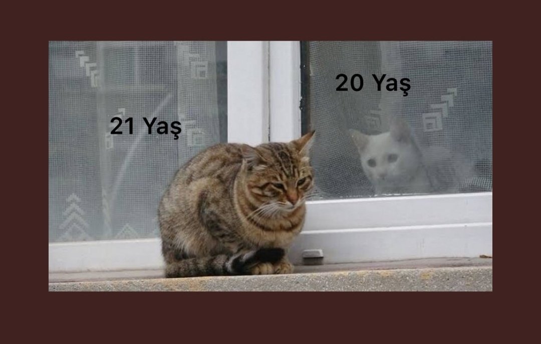 Hadi eyvallah 😂💪