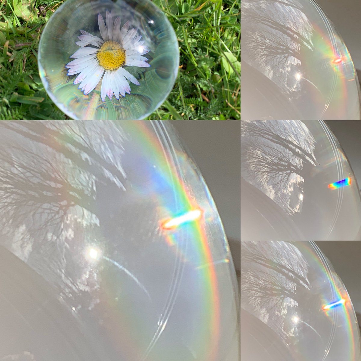 stories_rainbow's tweet image. Some fun vibrant rainbows made today using a lens ball. Love the reflection of the sunset with the rainbow offset. #searchforrainbows #searchforhope #makeyourownhopeifnecessary #photography #stayhome