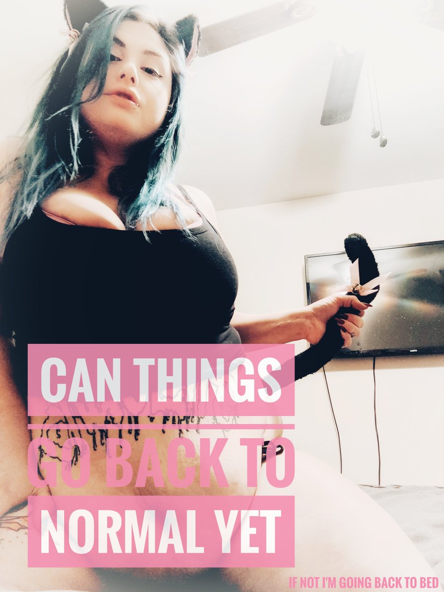 loveblump's tweet photo. I just wanna do hoodrat shit with my hoodrat friends 😿 https://t.co/1hTUEBEgsY