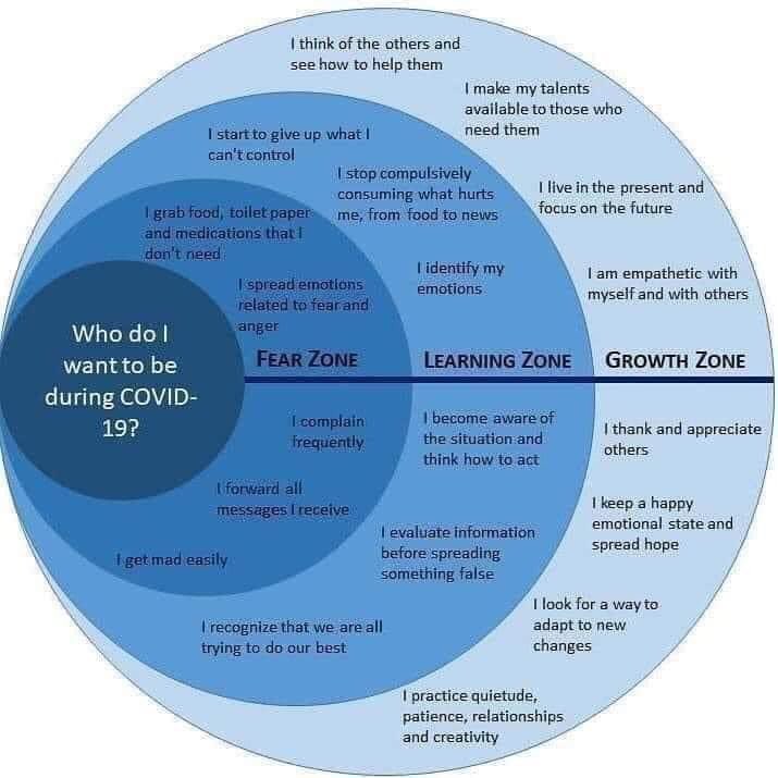 Love this visual - Who do you want to be? I want to be in the learning and growth zone! #remotelearning #BetterTogether #edutwitter