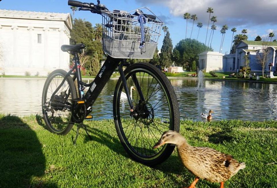 Take a break from your Zoom meetings, and go zoom outside for a while. ✌🏼 #ebike #FridayVibes