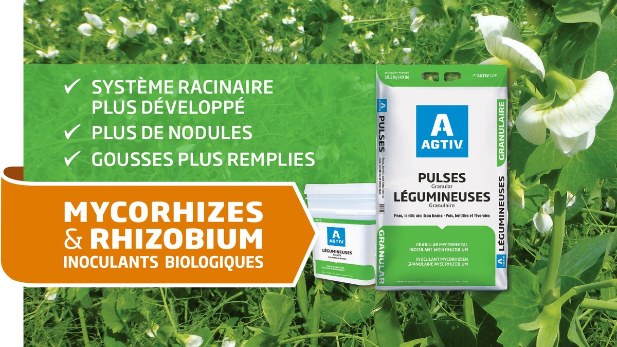 PTAGTIV's tweet photo. Débutez votre saison avec le double inoculant AGTIV LÉGUMINEUSES pour une absorption hâtive de P et une nodulation améliorée menant à +bu/ac. Contactez votre distributeur pour commander vos sacs dès maintenant !
https://t.co/lqVnNT7S7x
#AGTIV #legumineuses #reussite #semis20 https://t.co/r8vC2SGRYN