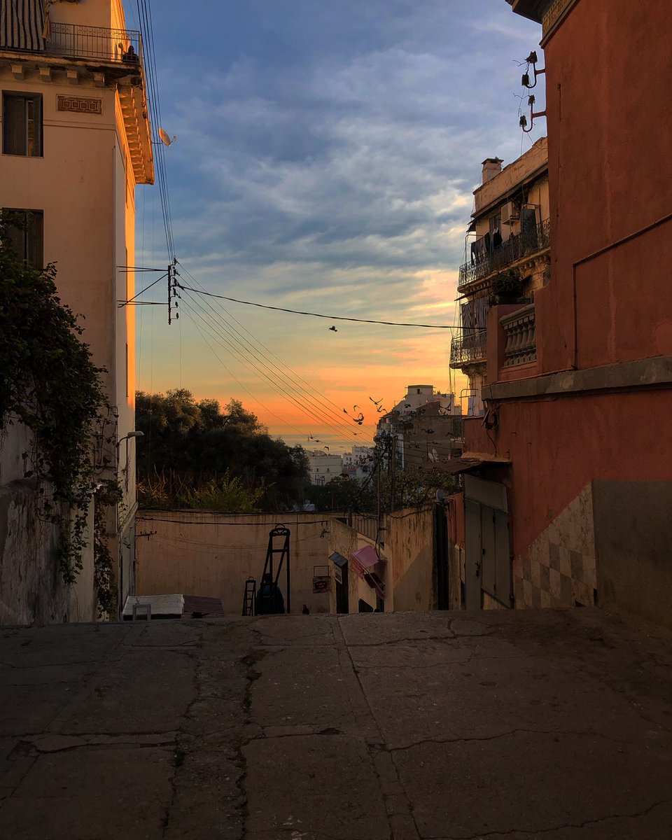 zedouzz's tweet photo. L’Algérie quel beau pays ☺️🇩🇿 https://t.co/IQfVfBGPbh