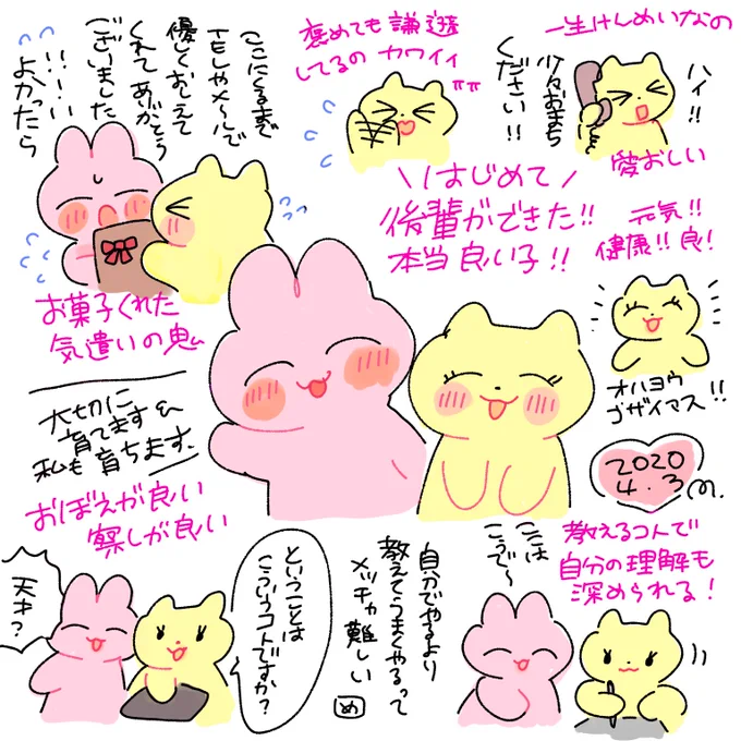 後輩ちゃん良い子だった日記 自分が来たばっかりのこと思い出して感慨深くなっちゃった 