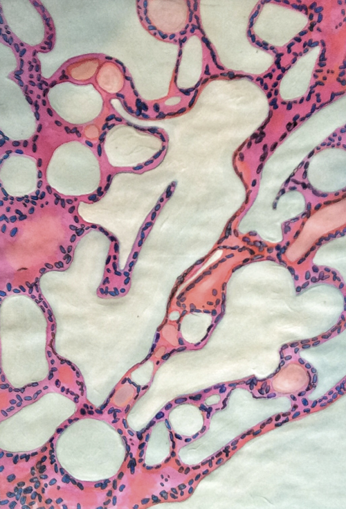 ArtBioCollab's tweet photo. ✨Congratulations to the artists in the 2020 #ArtintheLab Exhibition! —"to celebrate and to promote exhibition opportunities at the intersection of SCIENCE and ART." —🎉 and a huge congrats to @ArtintheLab on 5 years! —Online show here https://t.co/4CmjcgbDd1 #ArtScience #BioArt https://t.co/z1aM8PfsAk