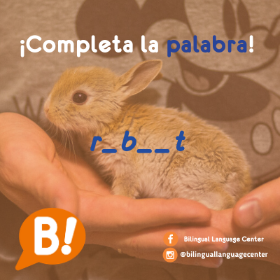 bilinguallc's tweet photo. ¿Sabes cómo se dice conejo en inglés?
¡Completa la palabra!
#study #english #bilingualschool #online https://t.co/Ir0wTueLxU