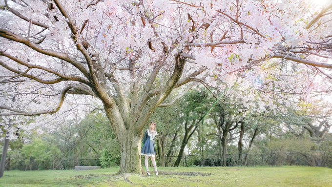 コスプレイヤーEly（イリー）のTwitter画像56