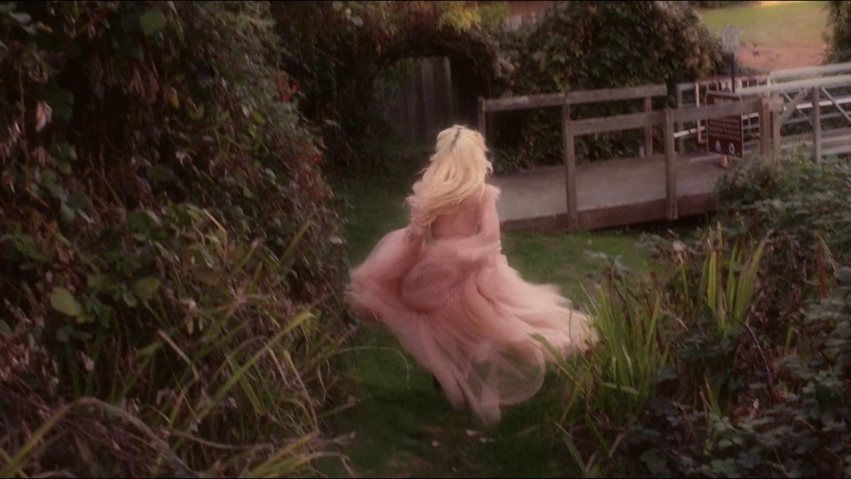 GagasAlerts's tweet photo. We really took for granted that the Joanne era had:

Gaga Five Foot Two
Superbowl Halftime Show
Coachella
Dive Bar Tour
Carpool Karaoke
Victoria Fashion Show
2 Grammy performances
A music video trilogy

She didn't do as many talk shows or award shows to give us special moments https://t.co/WoF7UvpxzD