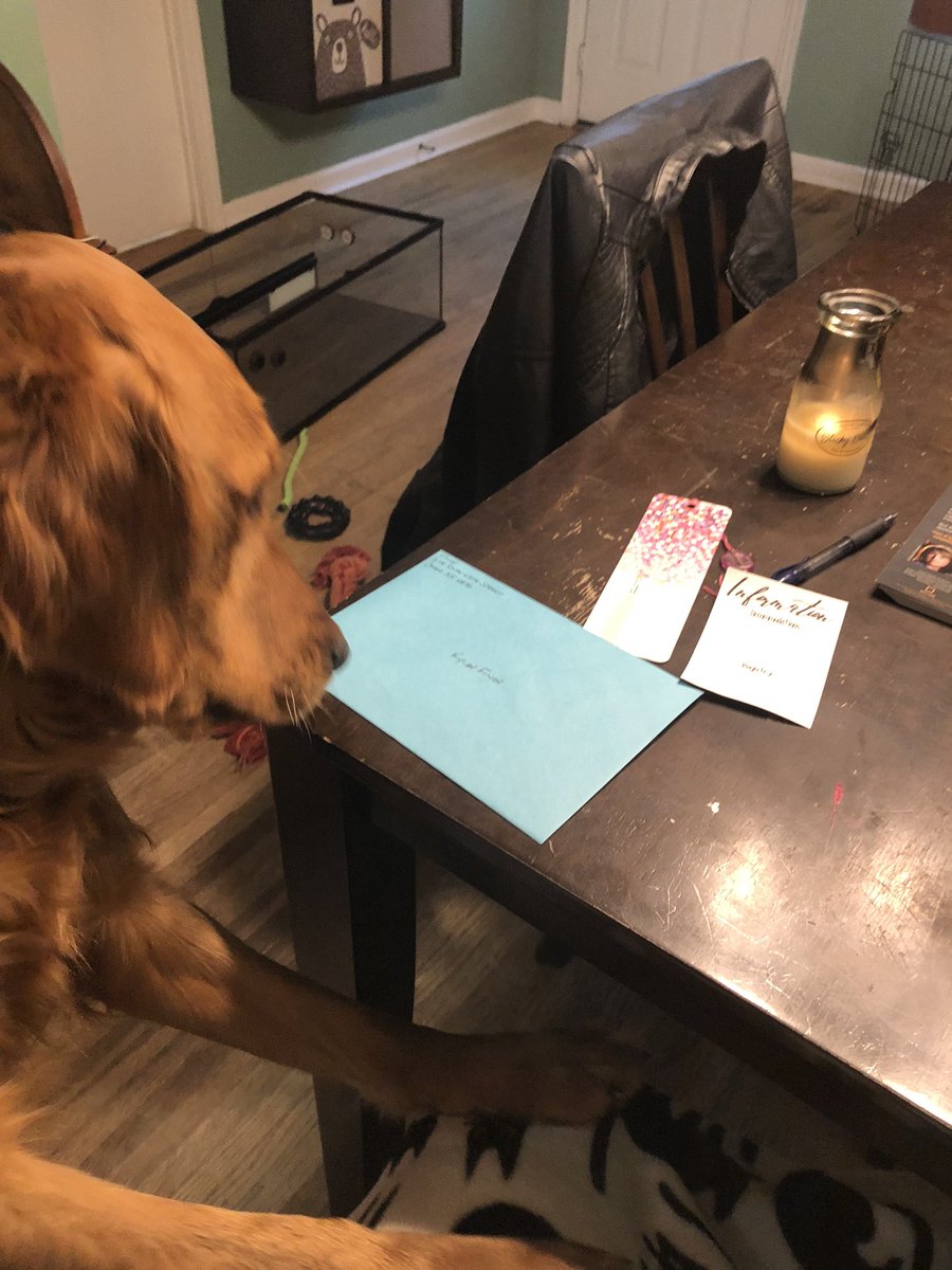 Finch93's tweet photo. Doug is still trouble. He has been driving us crazy and making us laugh. @GRRINebraska 💕 https://t.co/u5K77VqBe7