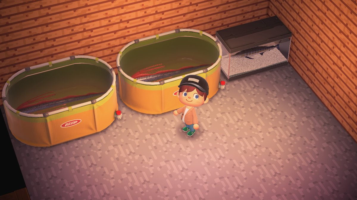 HunterRawr_'s tweet photo. Whole gang is here guys! https://t.co/G4jnCHwP4O