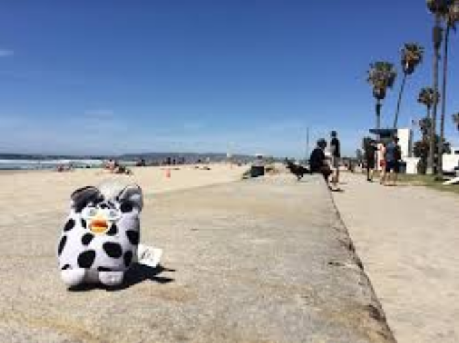 cryinmay's tweet photo. #FurbyFriday TRIVIA CHALLENGE!!!!!! where is furby ? https://t.co/Bod3NQfWLh