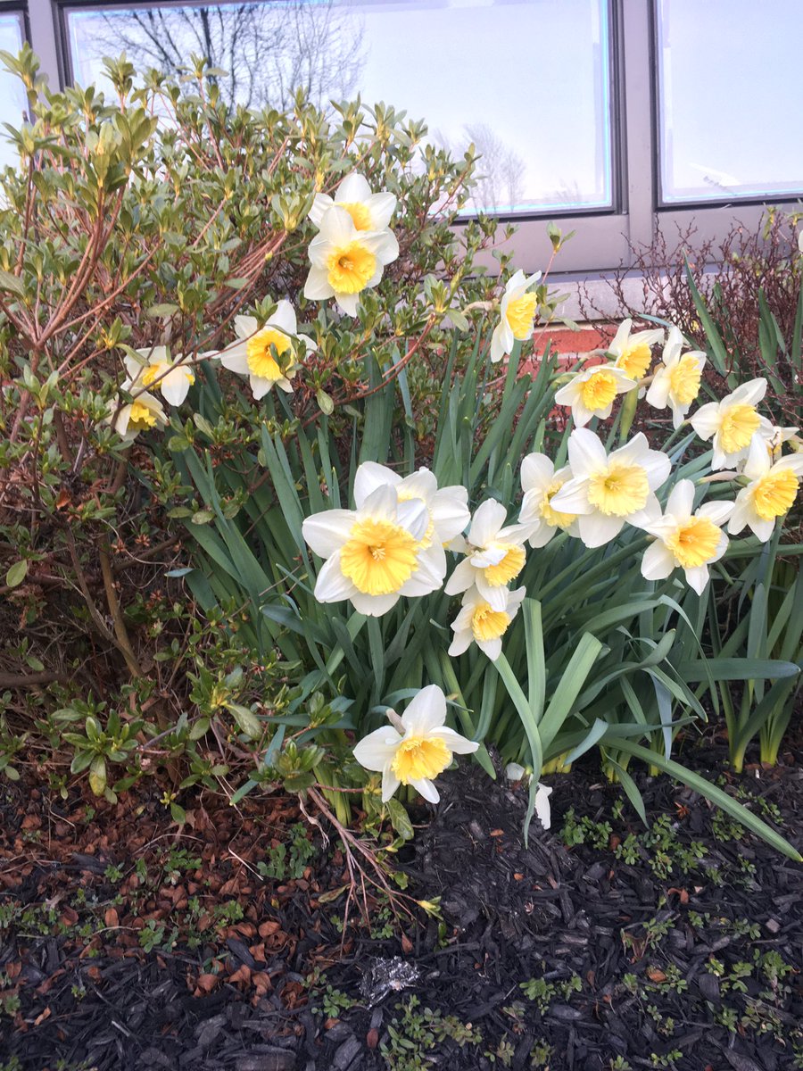 Where flowers bloom, so does hope. 
#OnceACard
#nofilterneeded