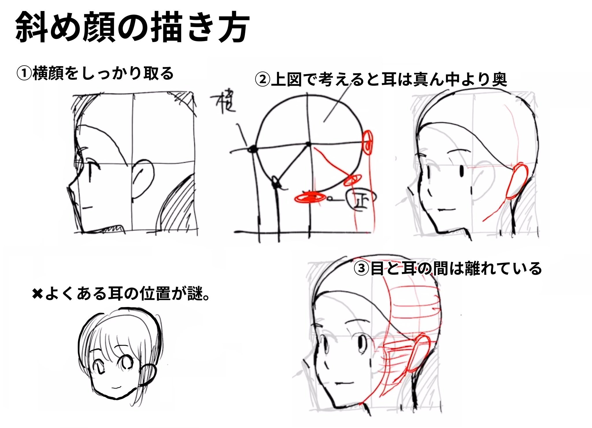 アニメ私塾 斜め顔の描き方 横顔をしっかりとる 上図で考えると耳は真ん中より奥 目と耳の間は離れている 側面分 よくある耳の位置謎ゾーン 髪で隠して曖昧になりがち T Co Ygfdiozkjm Twitter