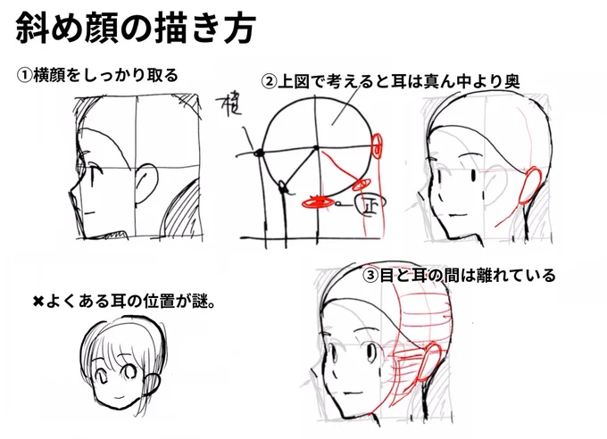 斜め顔の描き方
①横顔をしっかりとる
②上図で考えると耳は真ん中より奥
③目と耳の間は離れている(側面分)
×よくある耳の位置謎ゾーン。髪で隠して曖昧になりがち。 