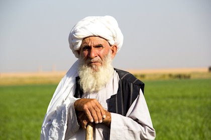 A Herati man wearing a white turban, probably the most popular type in Afg´s western provinces.