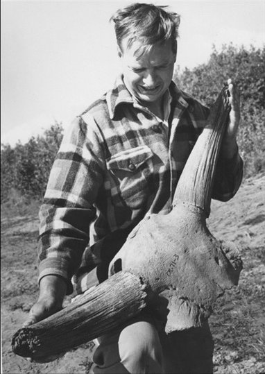 So much of the work extends from C.R. Harington (CRH sites)-- Dick worked with VGFN members through 1960s and 1970s for the Cdn Mus.Nature and established alot of our understanding of the OC Pleistocene taxa.
